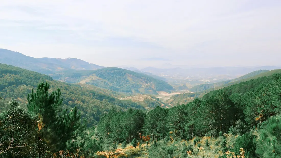 Đà Lạt · Vĩnh Hy